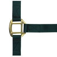 Licol nylon doublé cuir Norton Vert foncé