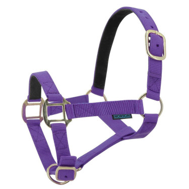 Licol nylon doublé cuir Norton Violet