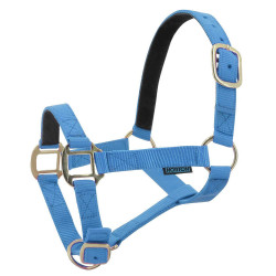 Licol nylon doublé cuir Norton Bleu ciel