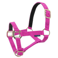 Licol nylon doublé cuir Norton Fuchsia Rose Licol nylon doublé cuir Norton Fuchsia Rose