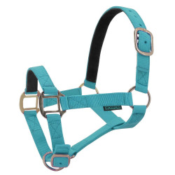 Licol nylon doublé cuir Norton Turquoise Bleu