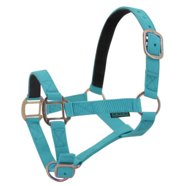 Licol nylon doublé cuir Norton Turquoise Bleu