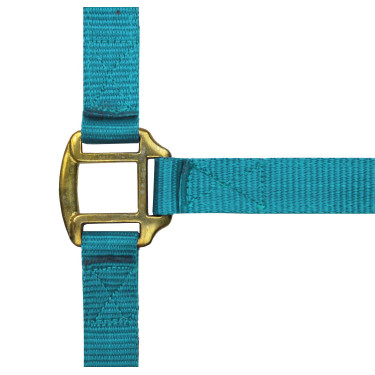 Licol nylon doublé cuir Norton Turquoise Bleu