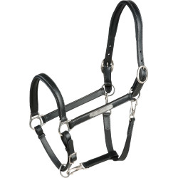 Licol cuir grooming Eric Thomas Pro