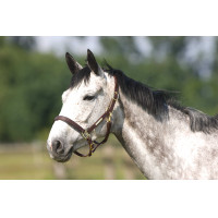 Licol Excelsior à double régLage Havane Marron