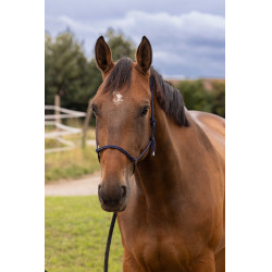 Licol éthologique doux Bleu marine