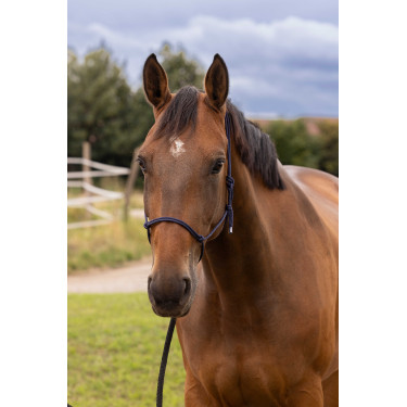 Licol éthologique doux Bleu marine