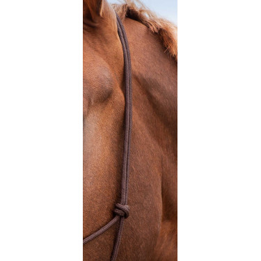 Licol éthologique doux Marron Licol éthologique doux Marron