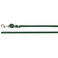 Longe attache Norton Bright Vert