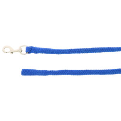 Longe d'attache Néon Bleu néon