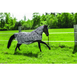 Chemise filet Riding World Combo