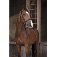 Rênes caoutchouc Norton Pro Noir