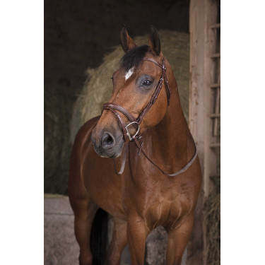 Rênes caoutchouc Norton Pro Havane Marron