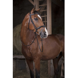 Rênes Caoutchouc Norton Pro 16 mm Noir