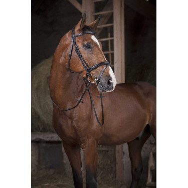 Rênes Caoutchouc Norton Pro 16 mm Noir