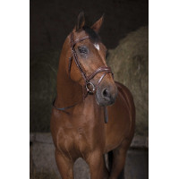 Rênes sangle Norton Pro Noir / blanc Rênes sangle Norton Pro Noir / blanc