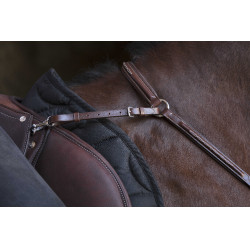 Collier de chasse Norton Pro Havane Marron