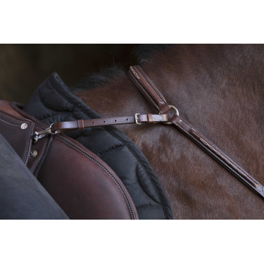 Collier de chasse Norton Pro Havane Marron