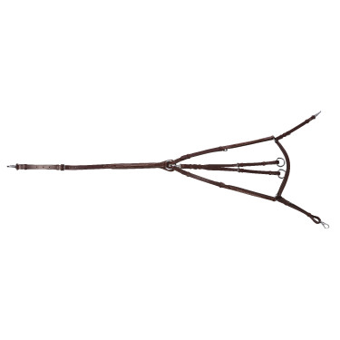 Collier de chasse Norton Pro Havane Marron