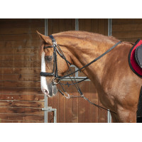 Gogue à poulies Norton Pro Noir Gogue à poulies Norton Pro Noir