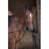 Enrênement élastique court / poulies Norton Pro Havane Marron