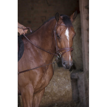 Enrênement élastique court / poulies Norton Pro Havane Marron