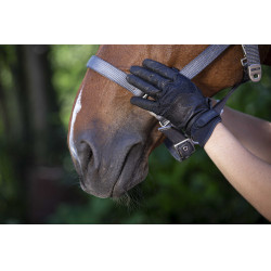 Gants Equithème Soft cuir Noir