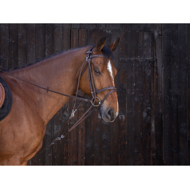 Gogue à poulies Riding World