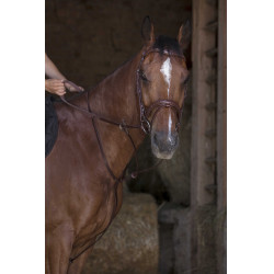 Martingale à anneaux Norton Pro Havane Marron