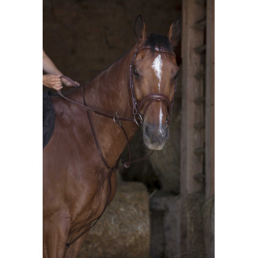 Martingale à anneaux Norton Pro Havane Marron