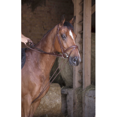 Rênes allemande cuir / corde Norton Pro Havane Marron Rênes allemande cuir / corde Norton Pro Havane Marron