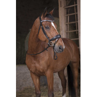 Rênes grip Norton Pro Havane / marron