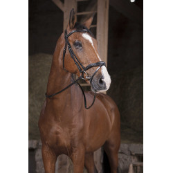 Rênes Norton Pro Supergrip Noir