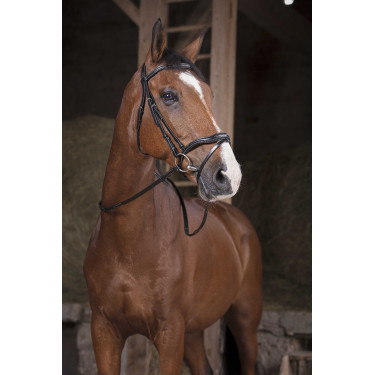 Rênes Norton Pro Supergrip Noir