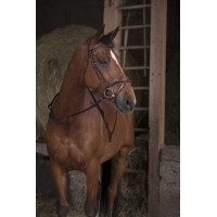 Rênes sangles à poignées Norton Pro Havane Marron