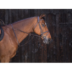 Martingale à anneaux Riding World