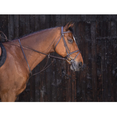 Martingale à anneaux Riding World