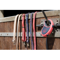 Laisse cuir Diego & Louna pour chien Naturel Marron