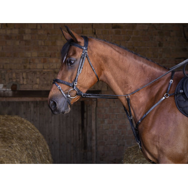 Collier de chasse Eric Thomas Hybrid