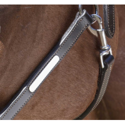 Licol cuir Norton Pro Grooming