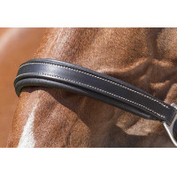 Licol cuir Norton Pro Grooming Noir