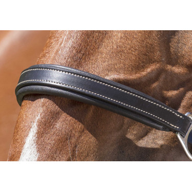 Licol cuir Norton Pro Grooming