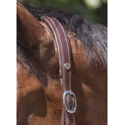 Licol cuir Norton Pro Grooming Havane Marron