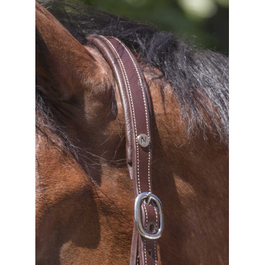 Licol cuir Norton Pro Grooming Havane Marron