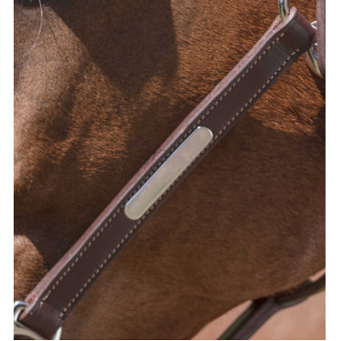 Licol cuir Norton Pro Grooming Havane Marron
