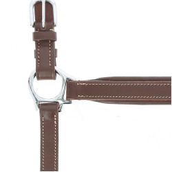 Licol cuir Norton Pro Grooming Havane Marron