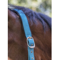 Licol Norton Fluo doublé Bleu Licol Norton Fluo doublé Bleu