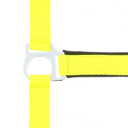 Licol Norton Fluo doublé Jaune
