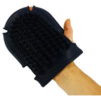 Gant étrille + brosse Rose