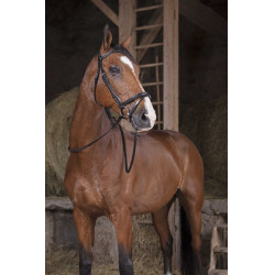 Rênes Hunter Norton Pro 16 mm